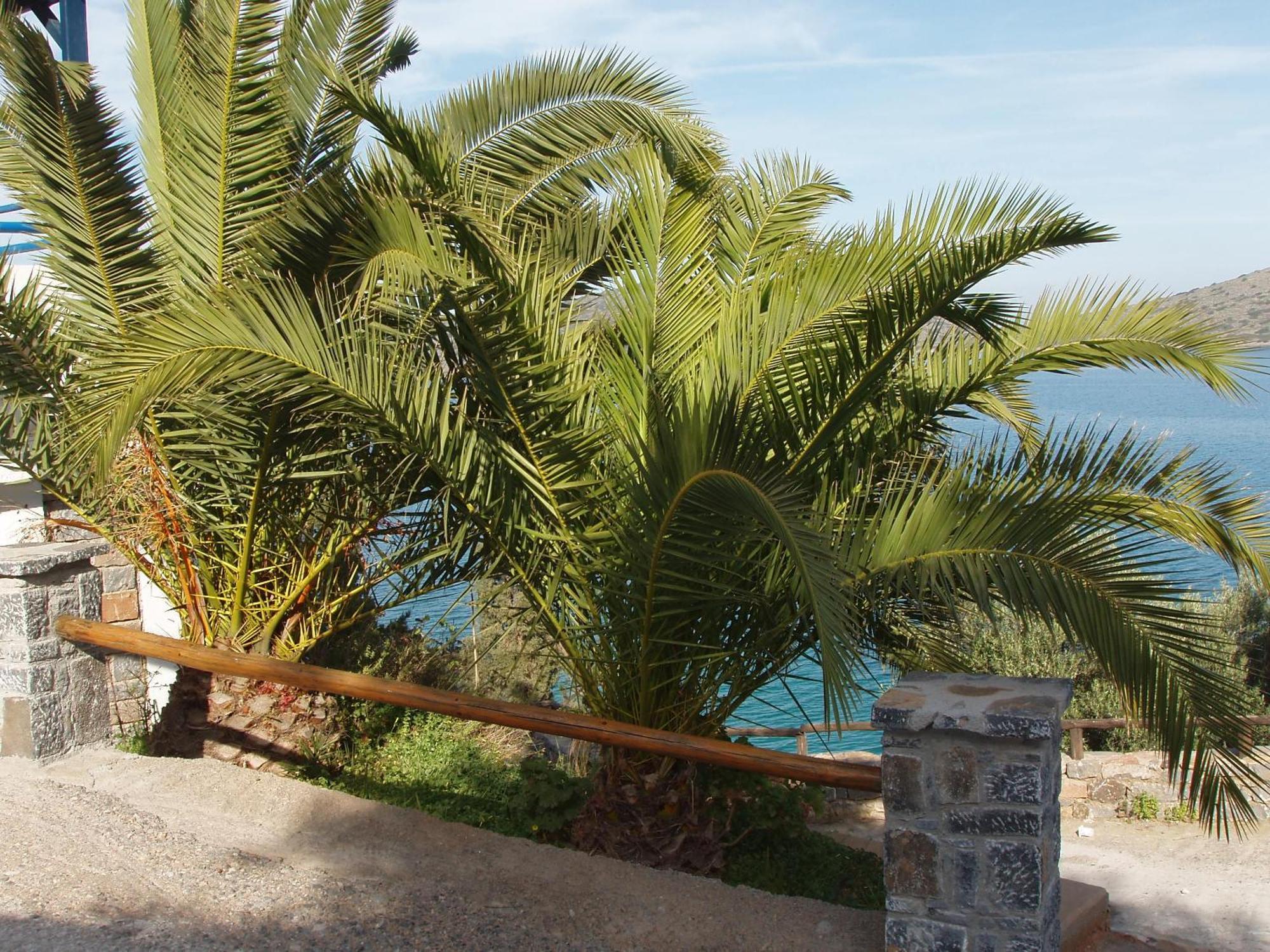 Kavos Bay Apartments Elounda Exterior photo